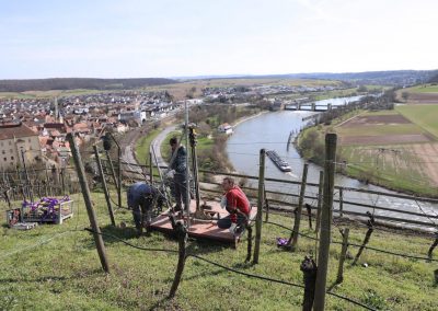 Bohrgrunderkundung Weinberg Gundelsheim