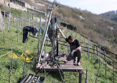 Bohrgrunderkundung Weinberg Gundelsheim